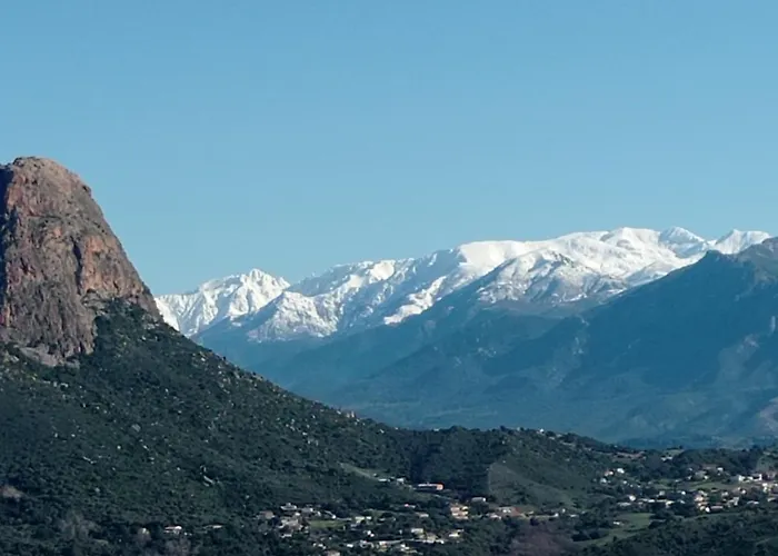 Perula Di Machja