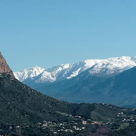 Perula Di Machja